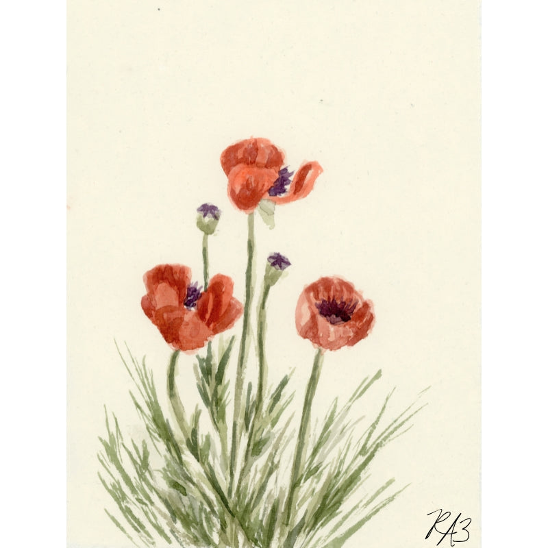 Linen Print: Rogue Poppy