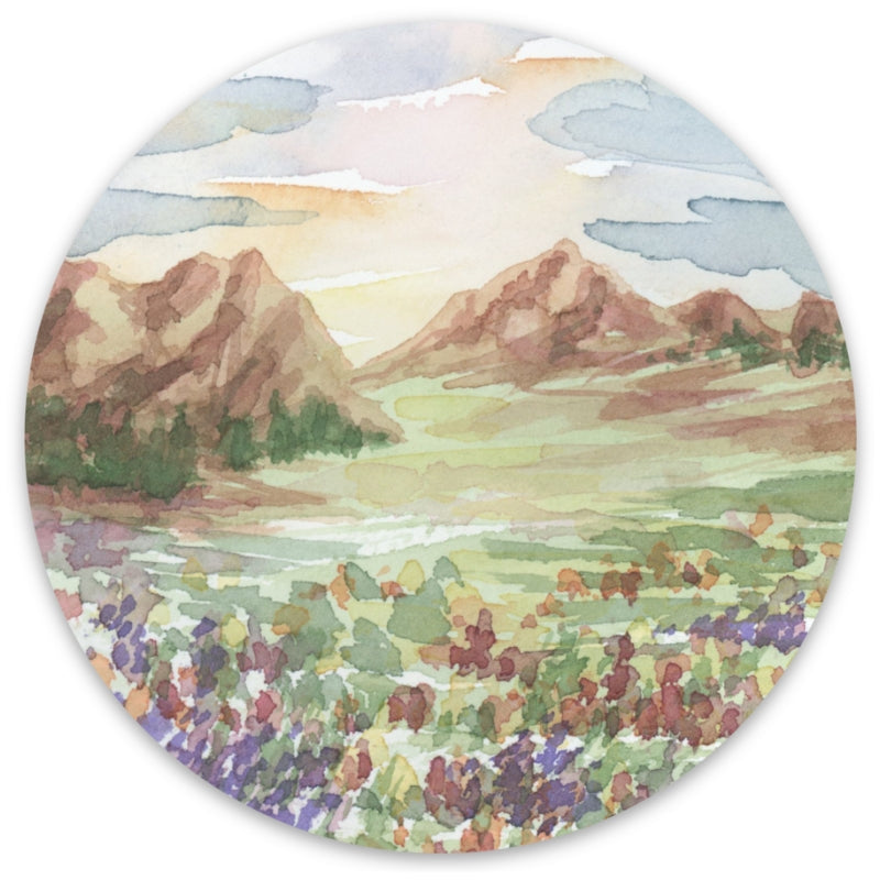 Sticker: Willow Meadow