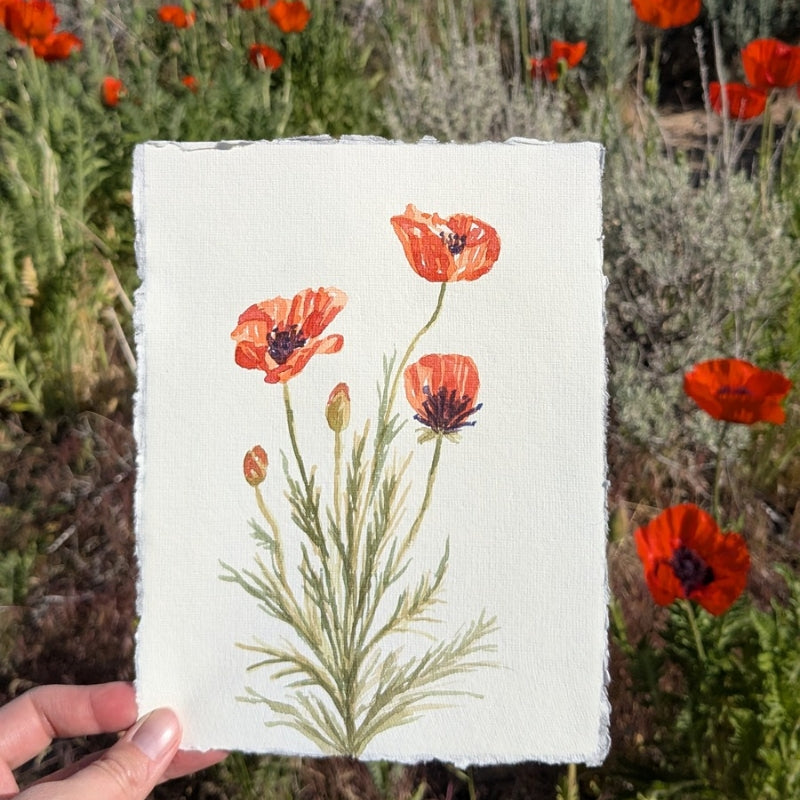Original Painting: Poppy Bouquet
