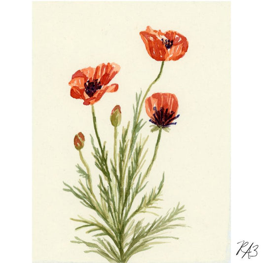 Linen Print: Poppy Bouquet