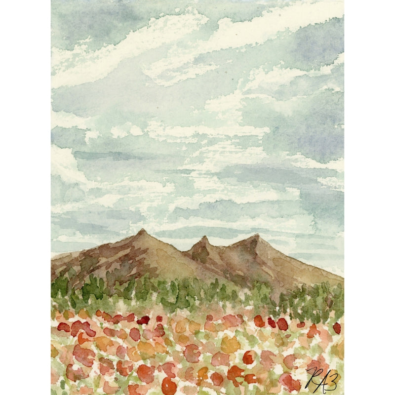 Original Painting: Mountain Poppies