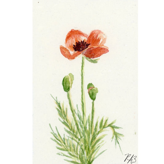 Linen Print: Spring Poppies