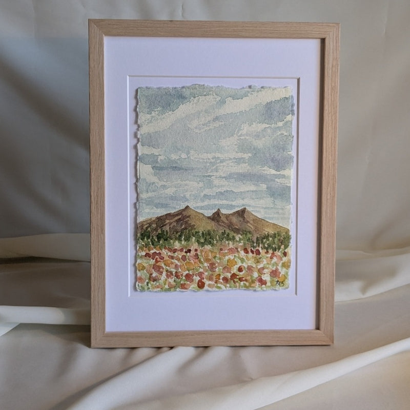 Original Painting: Mountain Poppies